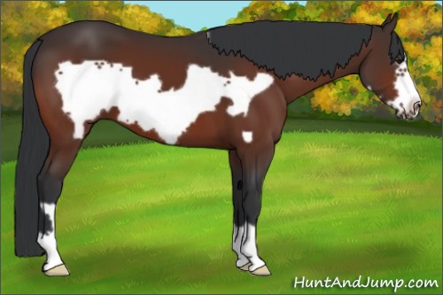 Horse Color:Brown Frame 