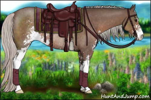 Horse Color:Silver Black Sabino Rabicano 