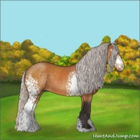 Horse Color:White Spotted Silver Buckskin Sabino 
