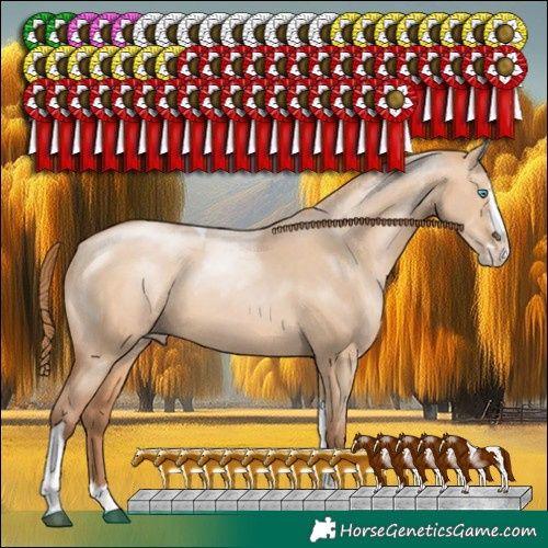 Horse Color:Brown Pearl Dun Sabino Splash Tobiano Rabicano