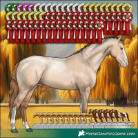 Horse Color:Brown Pearl Dun Sabino Splash Tobiano Rabicano 