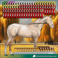 Horse Color:Brown Pearl Dun Sabino Splash Tobiano Rabicano 