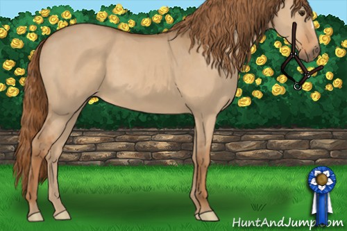 Horse Color:Red Dun 