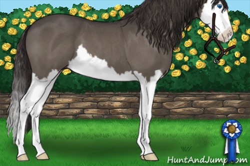 Horse Color:Smoky Blue Roan Splash 