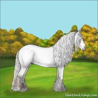 Horse Color:Gray White Spotted Silver Smoky Black Pearl Sabino Appaloosa 