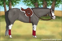 Horse Color:Grullo Splash 