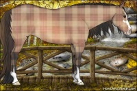 Horse Color:Plaid  Brown Dun Sabino 