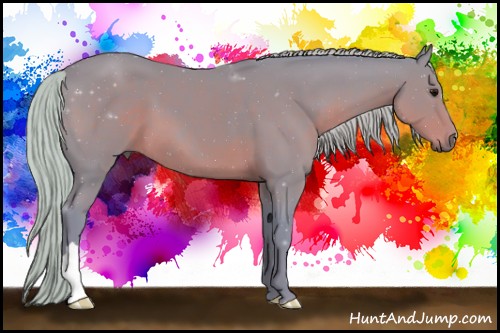 Horse Color:Watercolor Silver Black 
