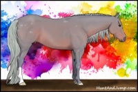 Horse Color:Watercolor Silver Black