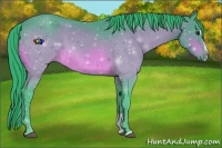 Horse Color:Watercolor Brown Sabino