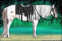 Horse Color:Chocolate Sable Champagne Onyx Sabino Splash Tobiano Appaloosa Rabicano 