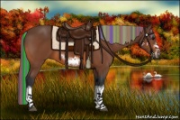 Horse Color:Painted White Spotted Bay Splash Frame