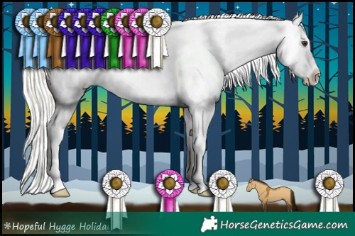 Horse Color:Silver Bay Dun Appaloosa 