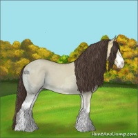 Horse Color:Amber Champagne Ice Dun Sabino 