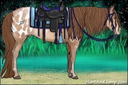 Horse Color:Brown Roan Pearl Appaloosa Rabicano 