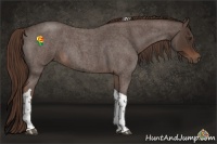 Horse Color:Liver Red Roan Tobiano 