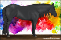 Horse Color:Black 
