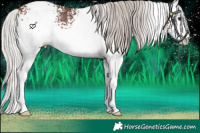 Horse Color:White Spotted Silver Bay Sabino Varnish Rabicano 