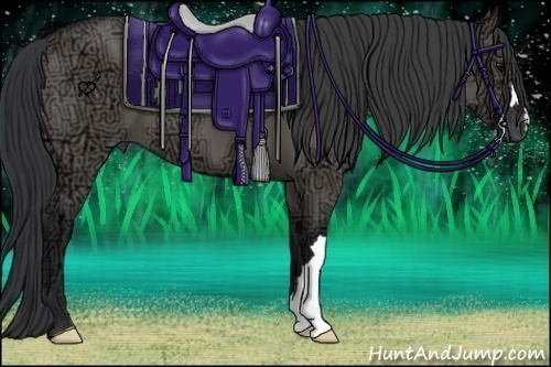 Horse Color:Grullo Ice 