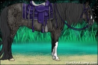 Horse Color:Grullo Ice 