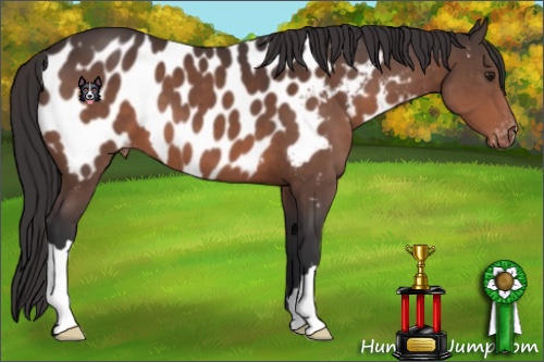 Horse Color:Brown Mushroom Near Leopard