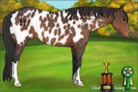Horse Color:Brown Mushroom Near Leopard 