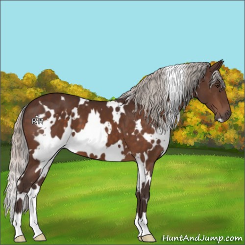 Horse Color:White Spotted Silver Brown 