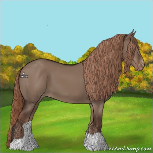 Horse Color:Liver Red Dun Appaloosa 