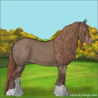 Horse Color:Liver Red Dun Appaloosa