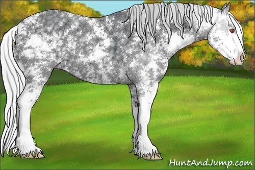 Horse Color:Silver Black Chinchilla Sabino 