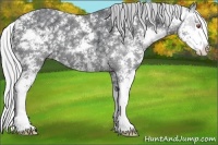 Horse Color:Silver Black Chinchilla Sabino 