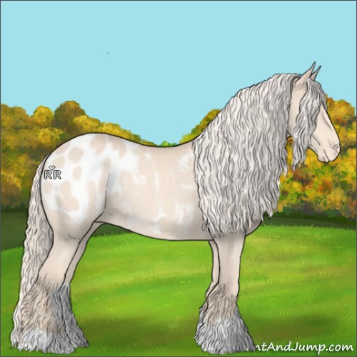 Horse Color:Cremello Appaloosa Rabicano