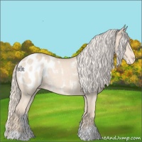 Horse Color:Cremello Blanket Rabicano 