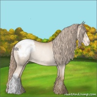 Horse Color:Chocolate Palomino Pearl Appaloosa Rabicano 