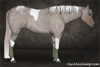 Horse Color:Silver Grullo Roan Tobiano 