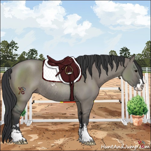 Horse Color:Grullo Sabino Rabicano 