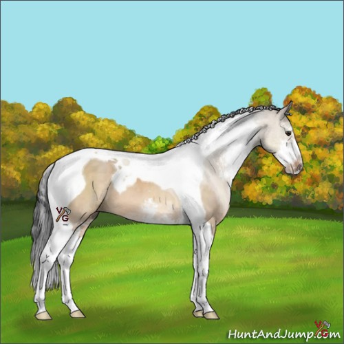 Horse Color:Brown Dun Sabino Tobiano