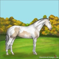 Horse Color:Brown Dun Sabino Tobiano