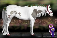 Horse Color:Grullo Sabino Splash Tobiano 