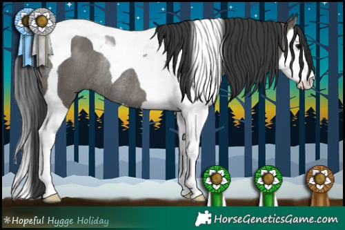 Horse Color:Grullo Sabino Splash Tobiano Rabicano 