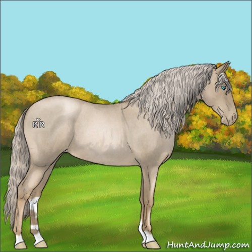 Horse Color:Chocolate Palomino Roan Pearl 