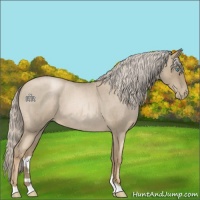 Horse Color:Chocolate Palomino Roan Pearl 