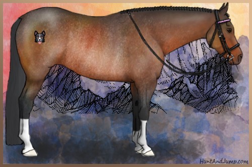 Horse Color:Bay Rabicano 