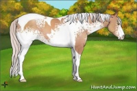 Horse Color:White Spotted Silver Sable Champagne Tobiano 