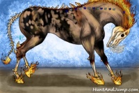 Horse Color:Void White Spotted Bay Dun Appaloosa