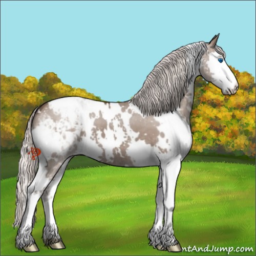 Horse Color:White Spotted Silver Grullo Splash Snowcap 
