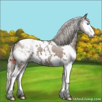 Horse Color:White Spotted Silver Grullo Splash Snowcap 