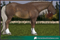 Horse Color:Chocolate Silver Buckskin 