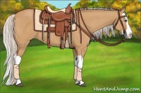 Horse Color:Silver Bay Dun Splash