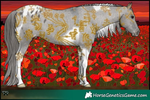 Horse Color:Grullo Tobiano Blanket 